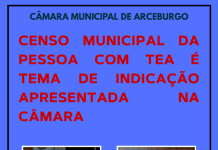 CENSO MUNICIPAL DA PESSOA COM TEA É TEMA DE INDICAÇÃO APRESENTADA NA CÂMARA
