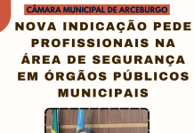NOVA INDICAÇÃO PEDE PROFISSIONAIS NA ÁREA DE SEGURANÇA EM ÓRGÃOS PÚBLICOS MUNICIPAIS